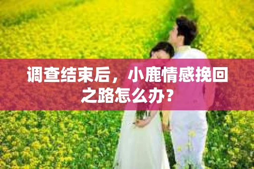 调查结束后，小鹿情感挽回之路怎么办？