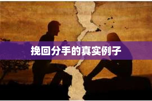 挽回分手的真实例子