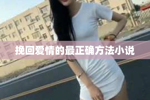 挽回爱情的最正确方法小说