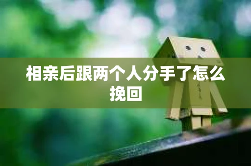 相亲后跟两个人分手了怎么挽回