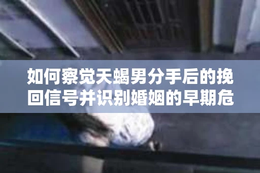如何察觉天蝎男分手后的挽回信号并识别婚姻的早期危机？怎么办？