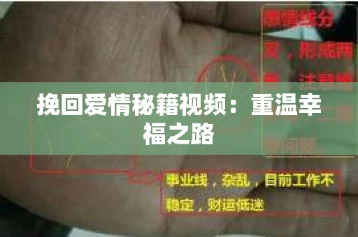 挽回爱情秘籍视频：重温幸福之路