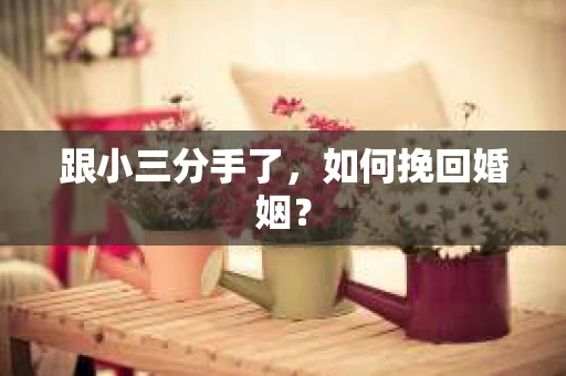 跟小三分手了，如何挽回婚姻？