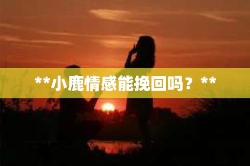 **小鹿情感能挽回吗？**