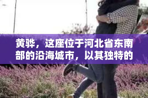 黄骅，这座位于河北省东南部的沿海城市，以其独特的地理位置和丰富的历史文化而闻名。然而，在这座城市中，还有一群人，他们以另一种方式默默守护着社会的公平与正义——私家侦探。今天，我们就来聊聊黄骅的私家侦探，看看他们是如何在这个城市中发挥作用的。