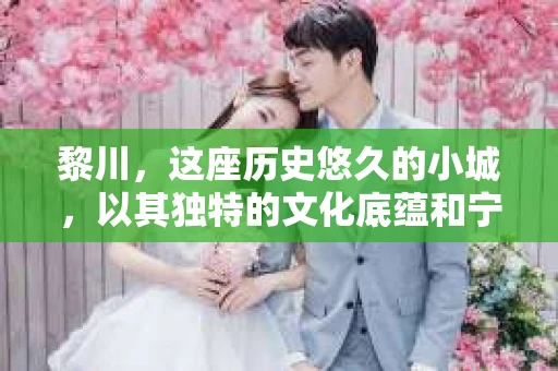 黎川，这座历史悠久的小城，以其独特的文化底蕴和宁静的生活节奏吸引着无数游客。然而，在这样一个看似平静的城市里，你是否会好奇，有没有私家侦探机构的存在呢？今天，就让我带你一探究竟。