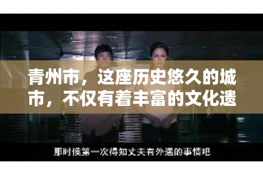 青州市，这座历史悠久的城市，不仅有着丰富的文化遗产，也有着现代生活的便捷。那么，问题来了——青州市有私家侦探公司吗？这个问题，对于需要侦探服务的人来说，无疑至关重要。接下来，我就来为大家揭开这个谜底。
