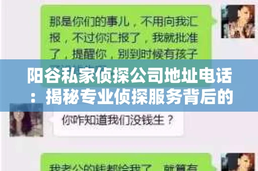 阳谷私家侦探公司地址电话：揭秘专业侦探服务背后的故事