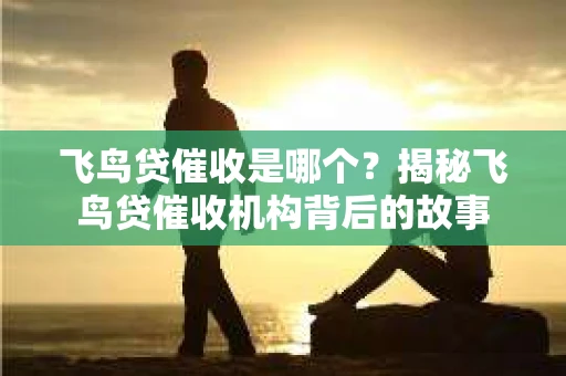 飞鸟贷催收是哪个？揭秘飞鸟贷催收机构背后的故事