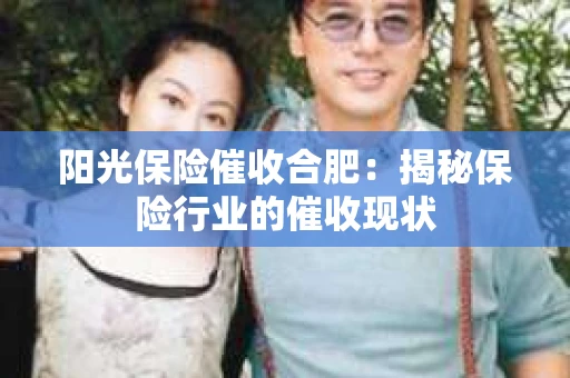 阳光保险催收合肥：揭秘保险行业的催收现状