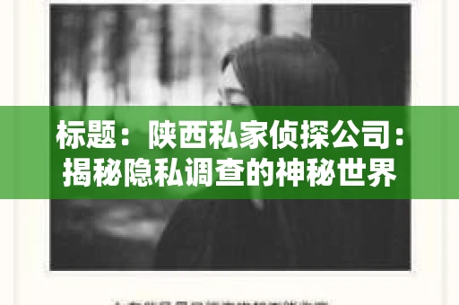 标题：陕西私家侦探公司：揭秘隐私调查的神秘世界