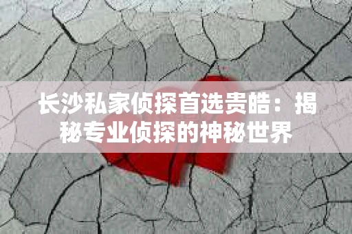 长沙私家侦探首选贵皓：揭秘专业侦探的神秘世界