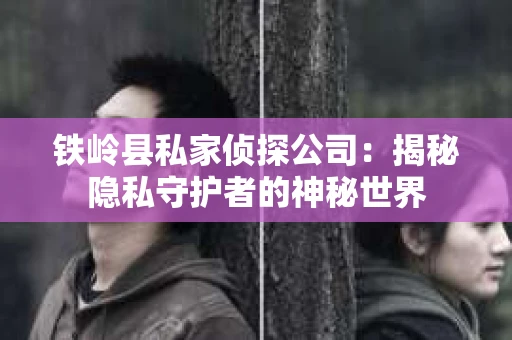 铁岭县私家侦探公司：揭秘隐私守护者的神秘世界
