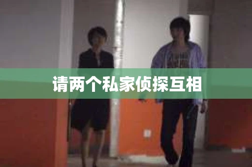 请两个私家侦探互相