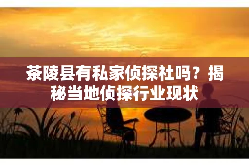 茶陵县有私家侦探社吗？揭秘当地侦探行业现状