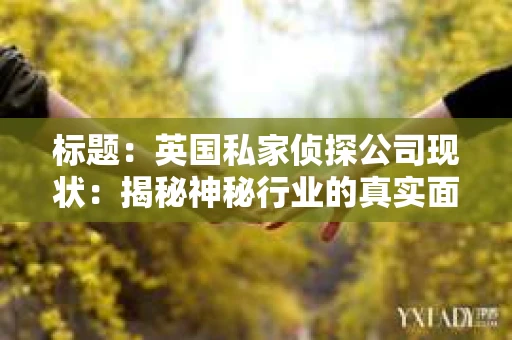 标题：英国私家侦探公司现状：揭秘神秘行业的真实面貌
