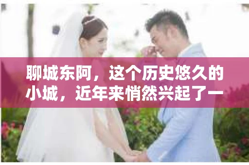 聊城东阿，这个历史悠久的小城，近年来悄然兴起了一股新的服务潮流——私家侦探。今天，我们就来聊聊这个话题，看看在聊城东阿，私家侦探是如何成为人们生活中的一部分的。