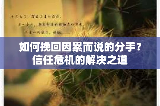 如何挽回因累而说的分手？信任危机的解决之道