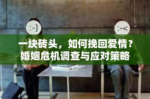 一块砖头，如何挽回爱情？婚姻危机调查与应对策略