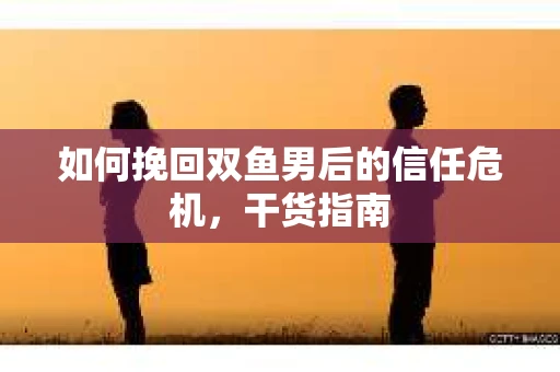 如何挽回双鱼男后的信任危机，干货指南