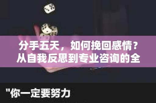 分手五天,如何挽回感情?从自我反思到专业咨询的全面解决方案 分手五天,如何挽回感情?从自我反思到专业咨询的全面解决方案