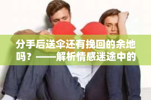 分手后送伞还有挽回的余地吗？——解析情感迷途中的决策