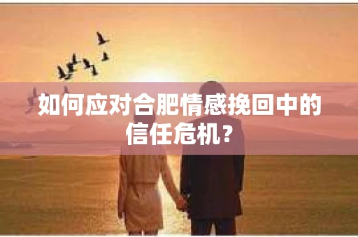 如何应对合肥情感挽回中的信任危机？
