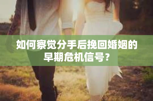 如何察觉分手后挽回婚姻的早期危机信号？
